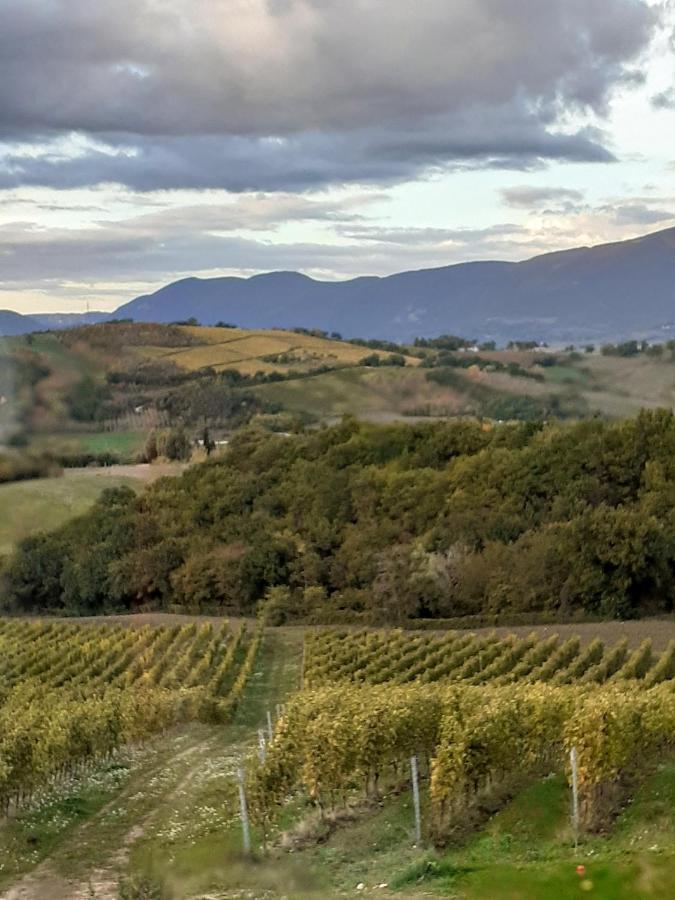 Tenuta Grimaldi Wine Resort Мателіка Екстер'єр фото