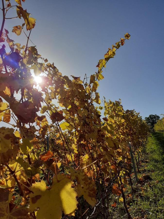 Tenuta Grimaldi Wine Resort Мателіка Екстер'єр фото