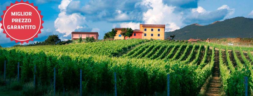 Tenuta Grimaldi Wine Resort Мателіка Екстер'єр фото